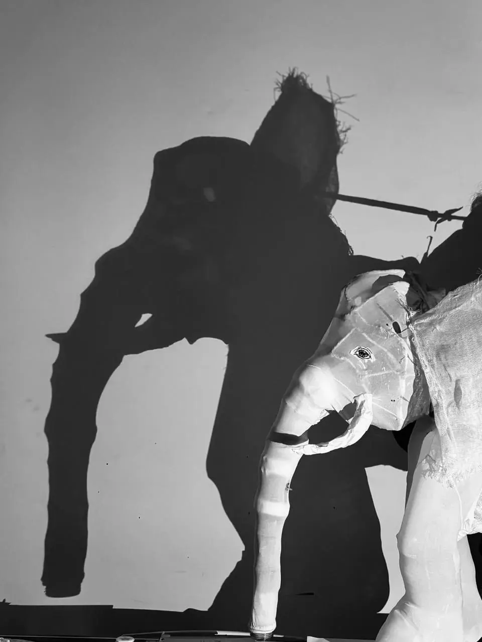 Mitos e historias de elefantes