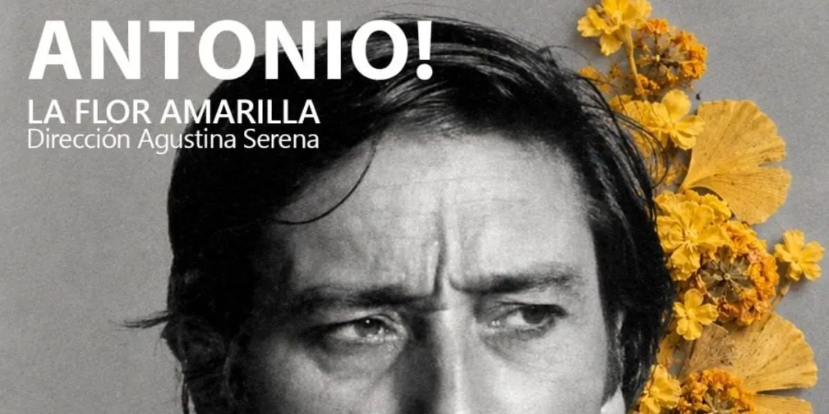 Antonio! Muestra La Flor Amarilla