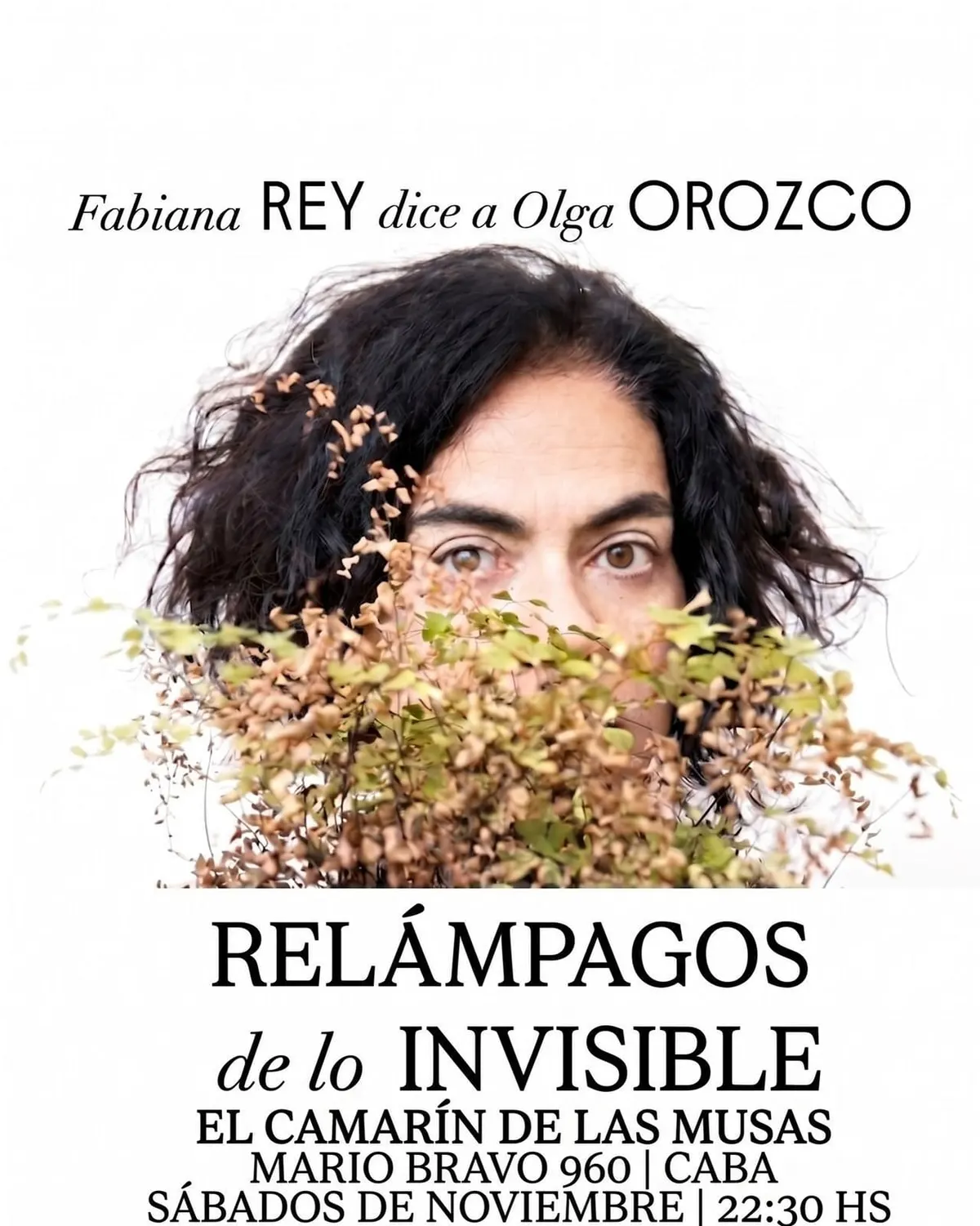 Relámpagos de lo invisible