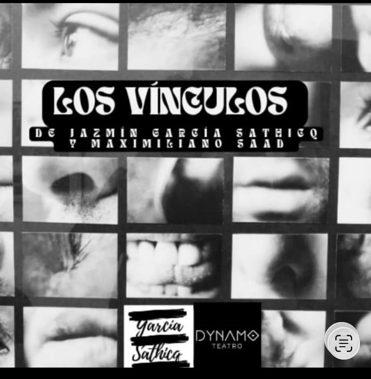 Los vínculos