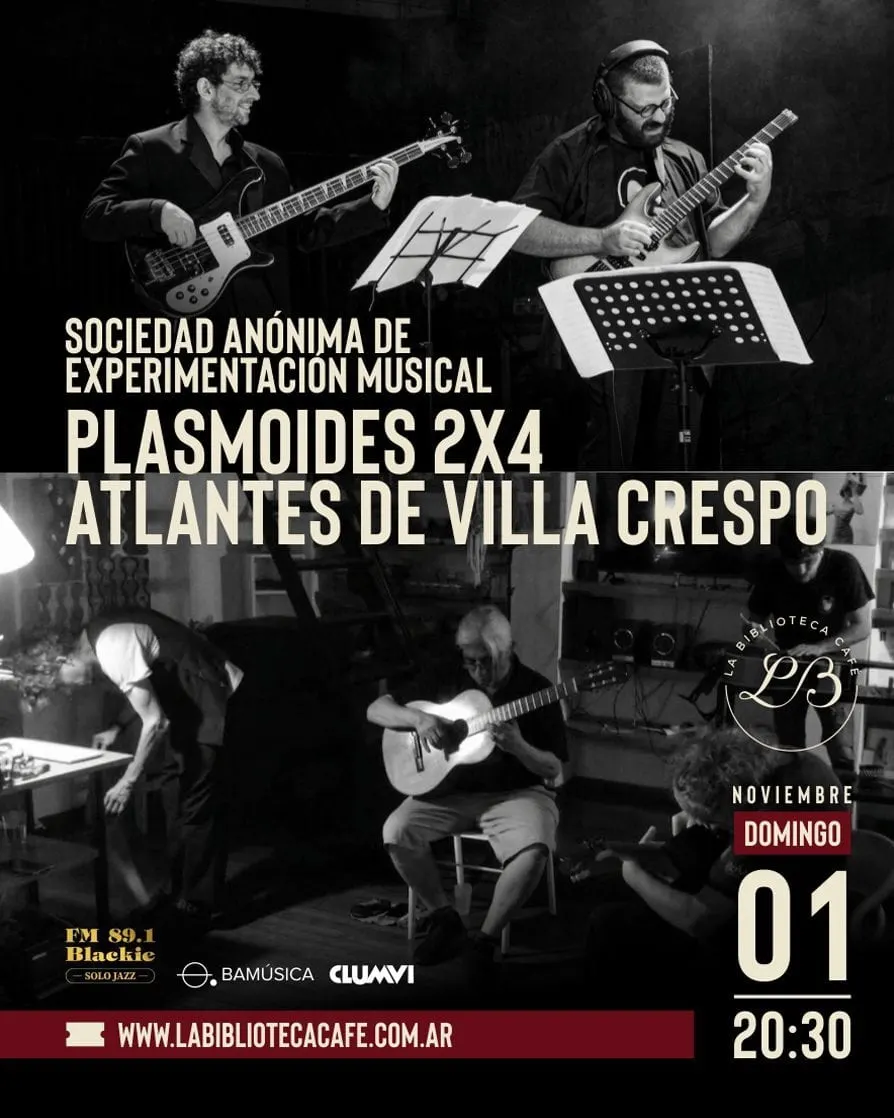 S.A.E.M. (Sociedad Anónima de Experimentacion Musical)