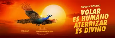 Afiche de Volar es humano, aterrizar es divino