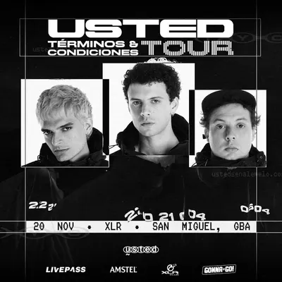 Afiche de Usted Señalemelo: Términos & condiciones tour