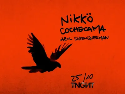 Afiche de Nikkö + Cochecama + Azul Schenquerman