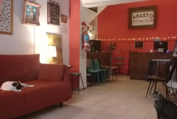 Abasto Social Club